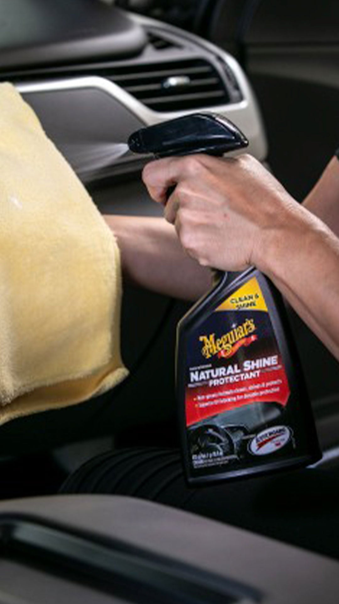 Meguair's Natural Shine Protectant